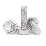 SS фланец болт